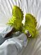 Balenciaga Track Neon ALL06394 фото 6