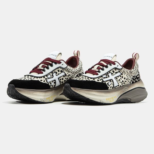Premiata Hill Beige Black Leopard ALL23662 фото
