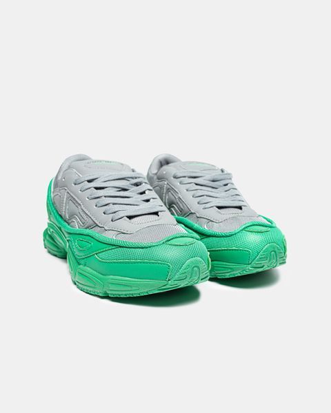 Adidas x Raf Simons Ozweego II Alate Grey ALL23728 фото