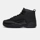 Air Jordan 12 Retro Black ALL22655 фото 1