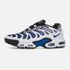 Nike Air Max Plus Drift Concord ALL16548 фото 1