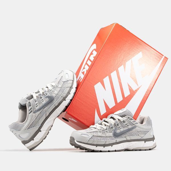 Nike P-6000 Light Iron Ore ALL14897 фото