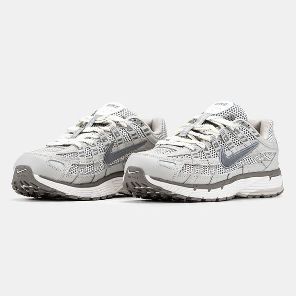 Nike P-6000 Light Iron Ore ALL14897 фото