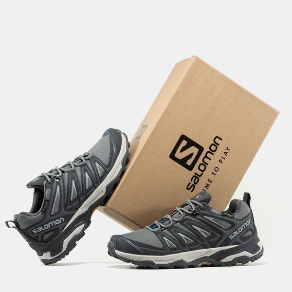 Salomon Speed Cross Pro GORE-TEX THINSULATE Grey ALL22040 фото