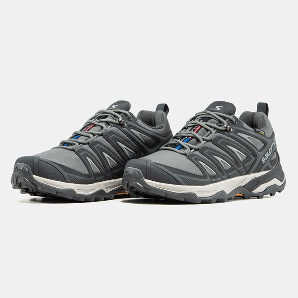 Salomon Speed Cross Pro GORE-TEX THINSULATE Grey ALL22040 фото