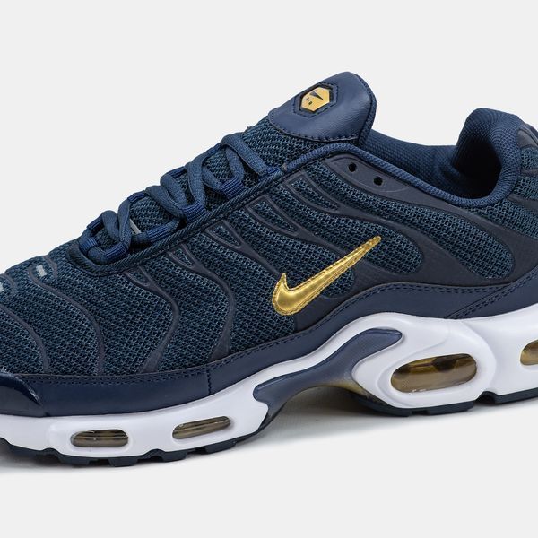 Nike Air Max Plus TN Blue Gold White ALL19560 фото