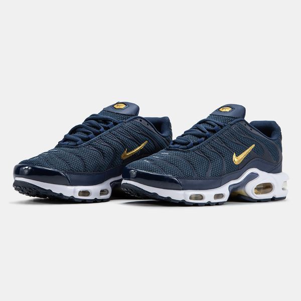 Nike Air Max Plus TN Blue Gold White ALL19560 фото