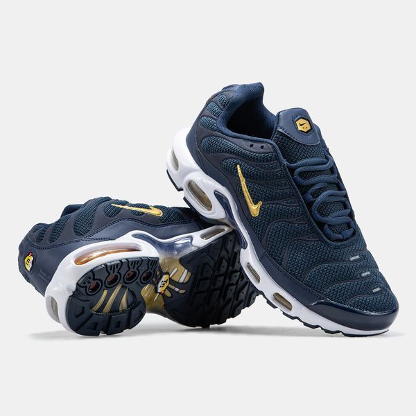 Nike Air Max Plus TN Blue Gold White ALL19560 фото