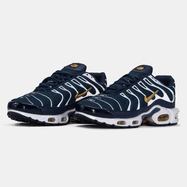 Nike Air Max Plus TN Blue Gold White ALL19560 фото