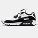 Nike Air Max 90 White / Black ALL23912 фото 1
