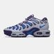 Nike Air Max Plus Drift Concord ALL18051 фото 1