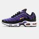 Nike Air Max Plus TN Voltage Purple ALL16181 фото 1