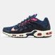 Nike Air Max TN Terrascape Blue Beige ALL09430 фото 1