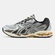 Asics Gel-Nimbus 10.1 Piedmont Grey Pure Silver ALL19513 фото 1