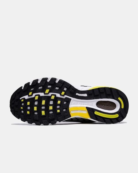 Nike Air Pegasus 2K5 Opti Yellow Metallic Silver ALL17603 фото