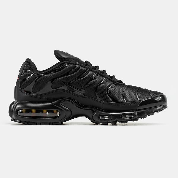 Nike Air Max Plus TN Black ALL02098 фото
