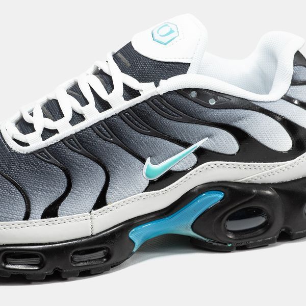 Nike Air Max Plus TN Grey Blue ALL19927 фото