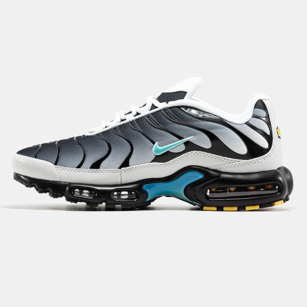 Nike Air Max Plus TN Grey Blue ALL19927 фото