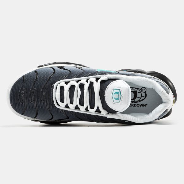 Nike Air Max Plus TN Grey Blue ALL19927 фото