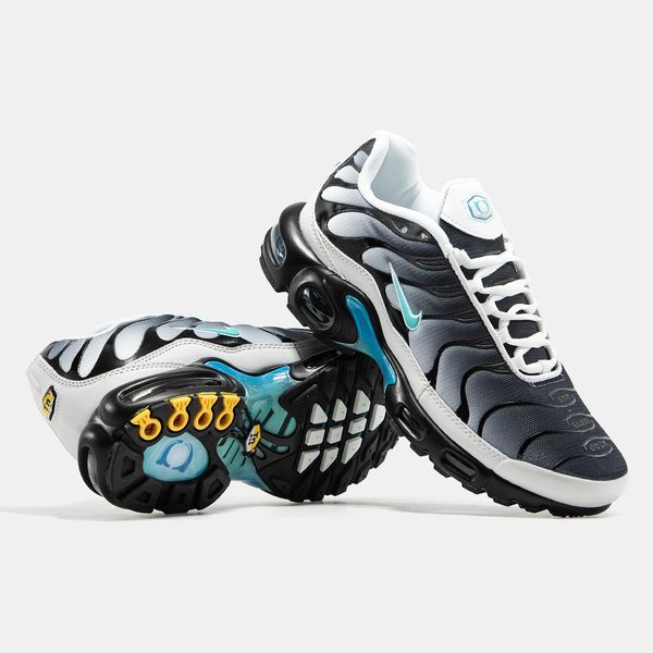 Nike Air Max Plus TN Grey Blue ALL19927 фото