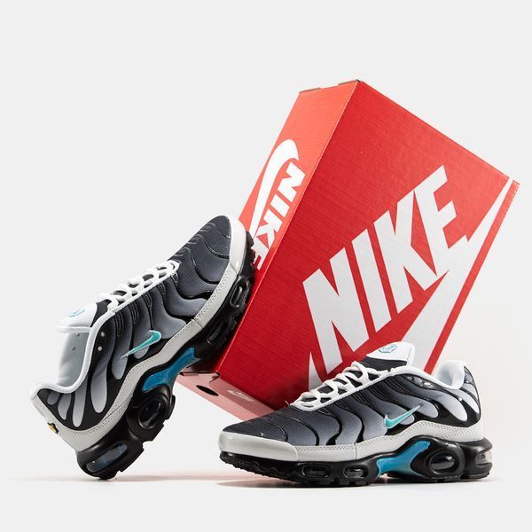 Nike Air Max Plus TN Grey Blue ALL19927 фото