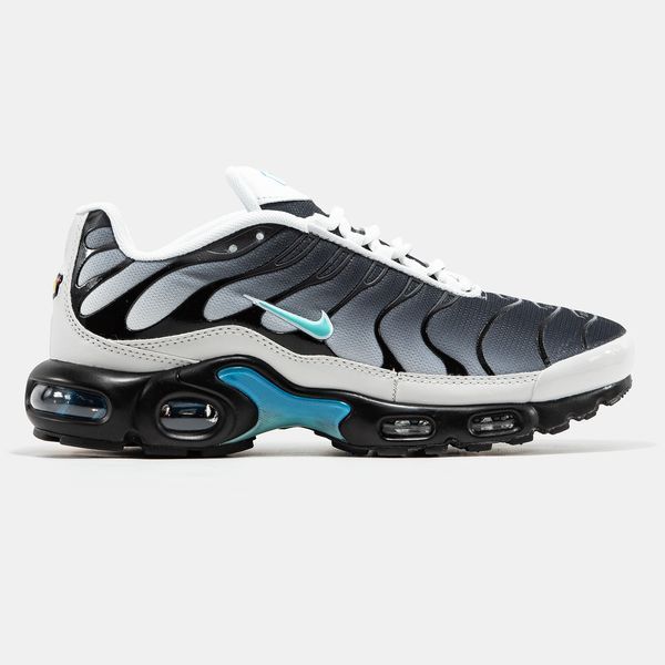Nike Air Max Plus TN Grey Blue ALL19927 фото