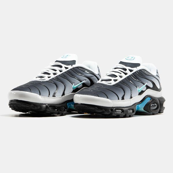 Nike Air Max Plus TN Grey Blue ALL19927 фото