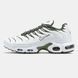 Nike Air Max Plus TN Light Bone Olive ALL15634 фото 1