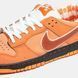 Nike SB Dunk Low Orange Lobster ALL12057 фото 2