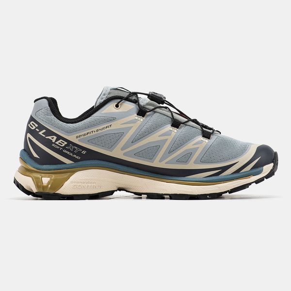 Salomon XT-6 Soft Ground Silver Beige ALL13200 фото