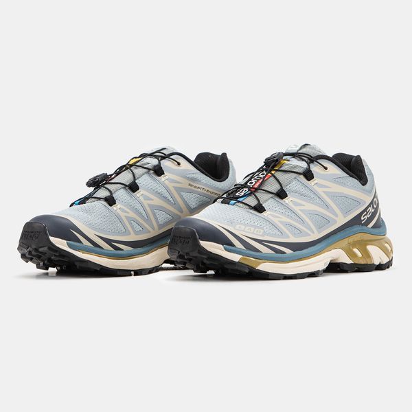 Salomon XT-6 Soft Ground Silver Beige ALL13200 фото