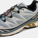 Salomon XT-6 Soft Ground Silver Beige ALL13200 фото 2