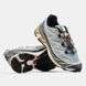 Salomon XT-6 Soft Ground Silver Beige ALL13200 фото 4