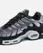 Nike Air Max Plus TN Black White Gradient ALL13680 фото 2