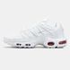 Nike Air Max Plus TN Toggle White ALL14268 фото 1