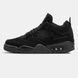 Air Jordan 4 Black Cat ALL04716 фото 1